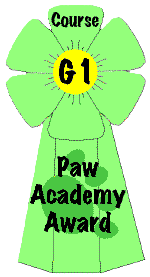 G1Ribbon